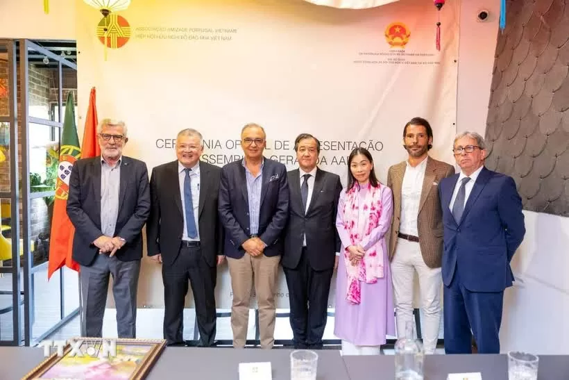 P6-50: Mở ra không gian hợp tác rộng lớn hơn