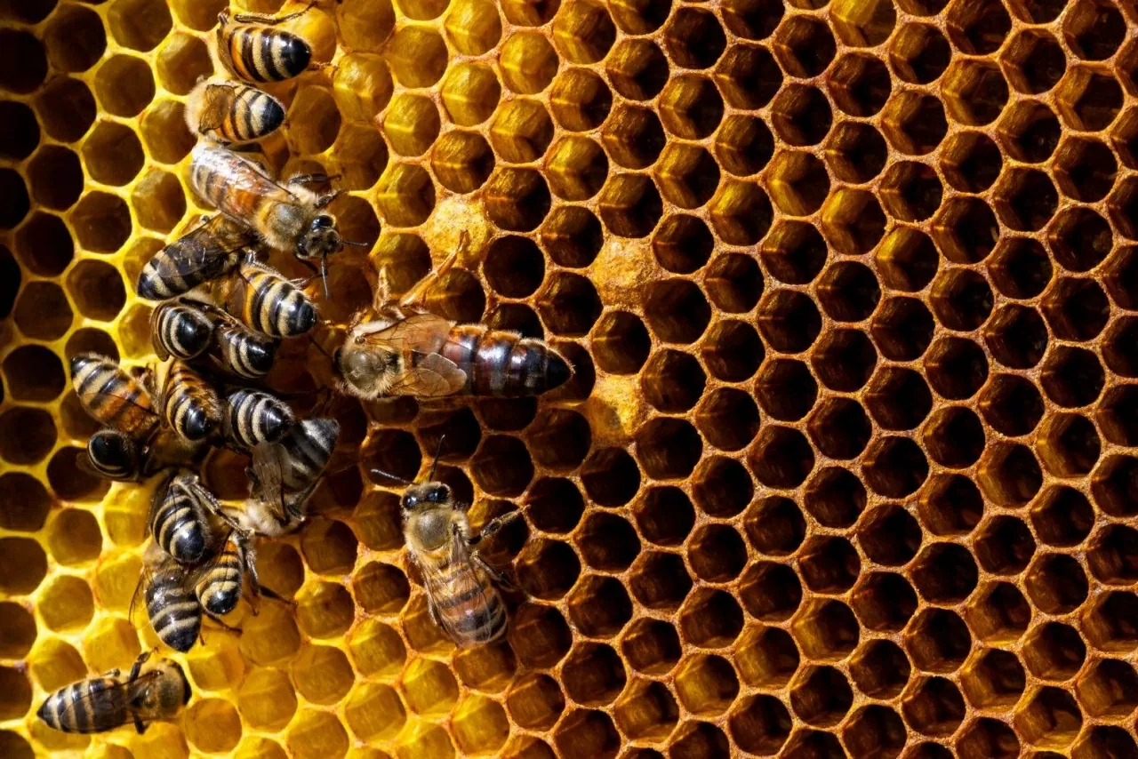 ảnh ấn tượng June 15