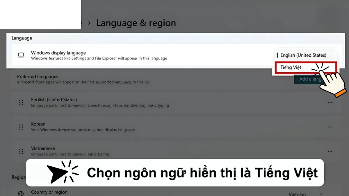 chọn Tiếng Việt làm ngôn ngữ hiển thị chính.