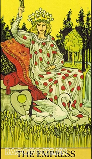 Bài tarot hôm nay: