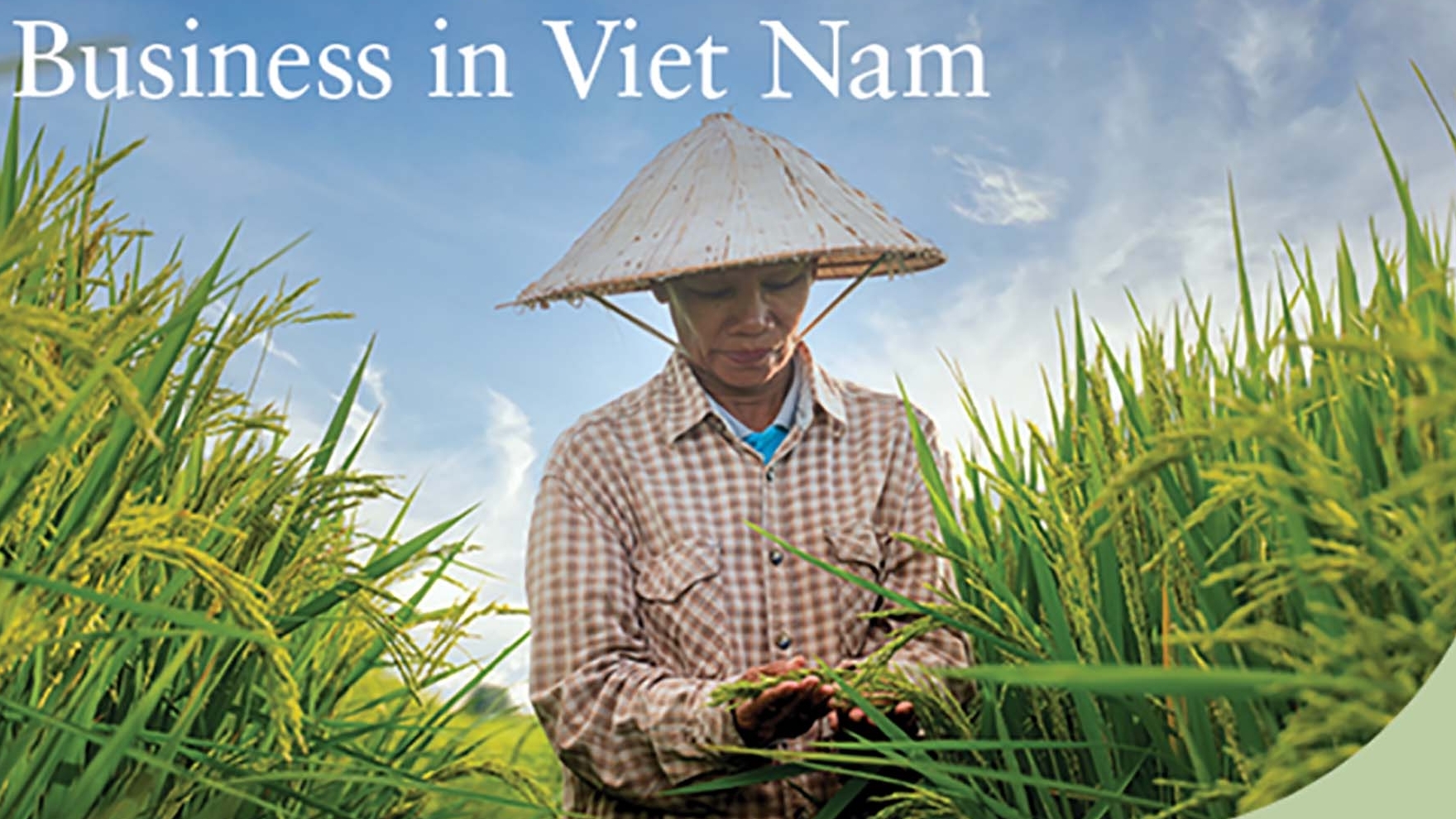 thuc day su tham gia cua phu nu dong luc cho tang truong xanh va viec lam cua viet nam