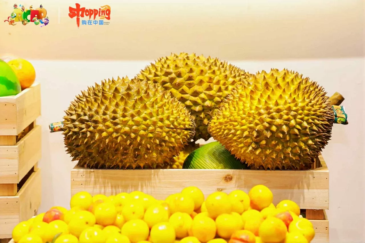 Xuất khẩu sầu riêng sang Trung Quốc ổn định trở lại Xuất khẩu sầu riêng sang Trung Quốc ổn định trở lại