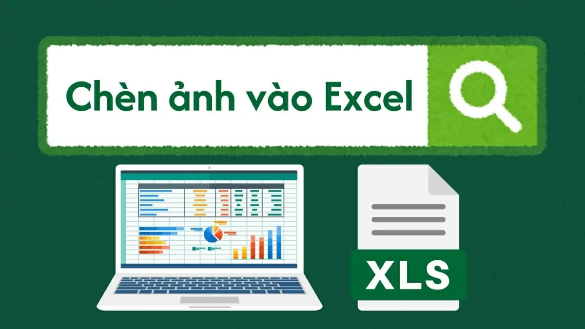 Cách chèn ảnh vào Excel vừa ô nhanh chóng và dễ dàng. Cách chèn ảnh vào Excel vừa ô nhanh chóng và dễ dàng.