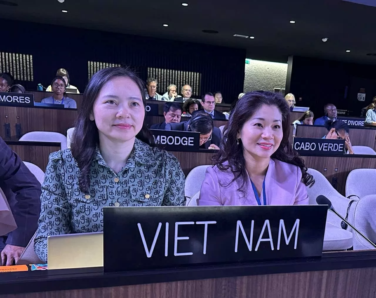 Việt Nam lần thứ ba trúng cử thành viên Ủy ban liên chính phủ Công ước UNESCO 2005 Việt Nam lần thứ ba trúng cử thành viên Ủy ban liên chính phủ Công ước UNESCO 2005