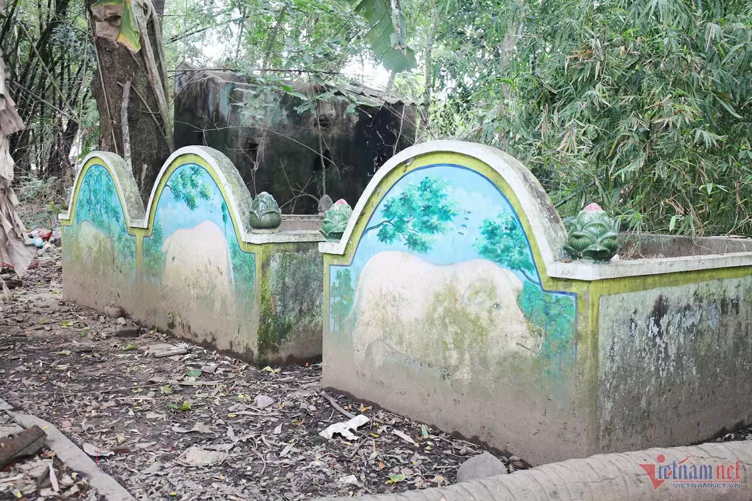 Những ngôi mộ heo 5 móng thu hút sự tò mò của du khách tới tham quan chùa Dơi