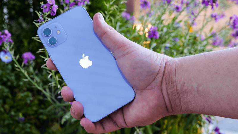 Apple từng đưa màu tím vào các dòng iPhone cơ bản như iPhone 14 hay 14 Plus.