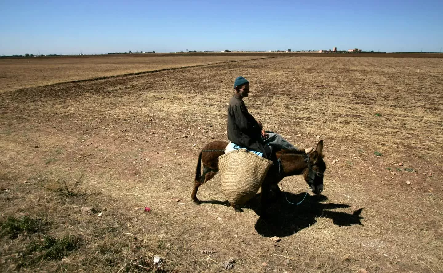 Cơ quan khí tượng Morocco công bố về năm nóng nhất lịch sử