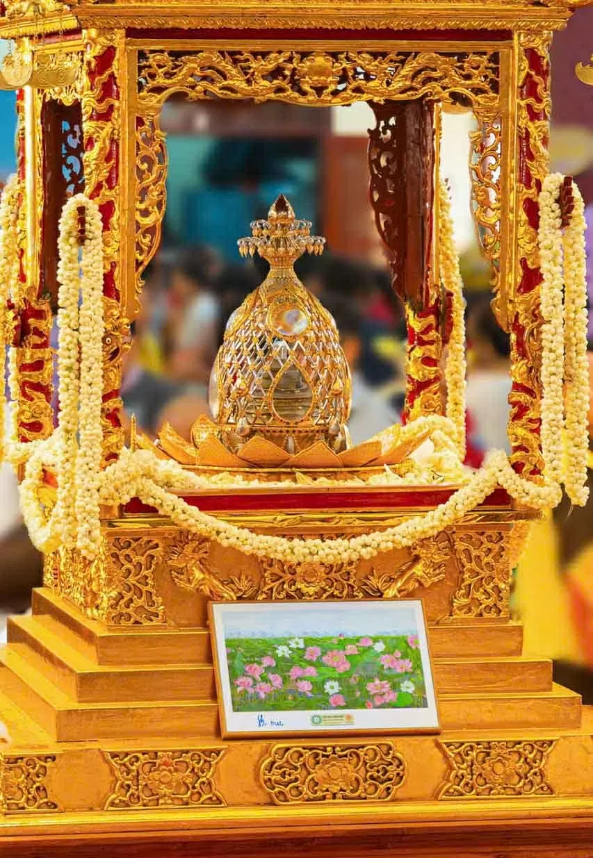 Cơ hội để người yêu tranh Sen thưởng lãm phiên bản 'Liên hoa tịnh cảnh' nổi tiếng