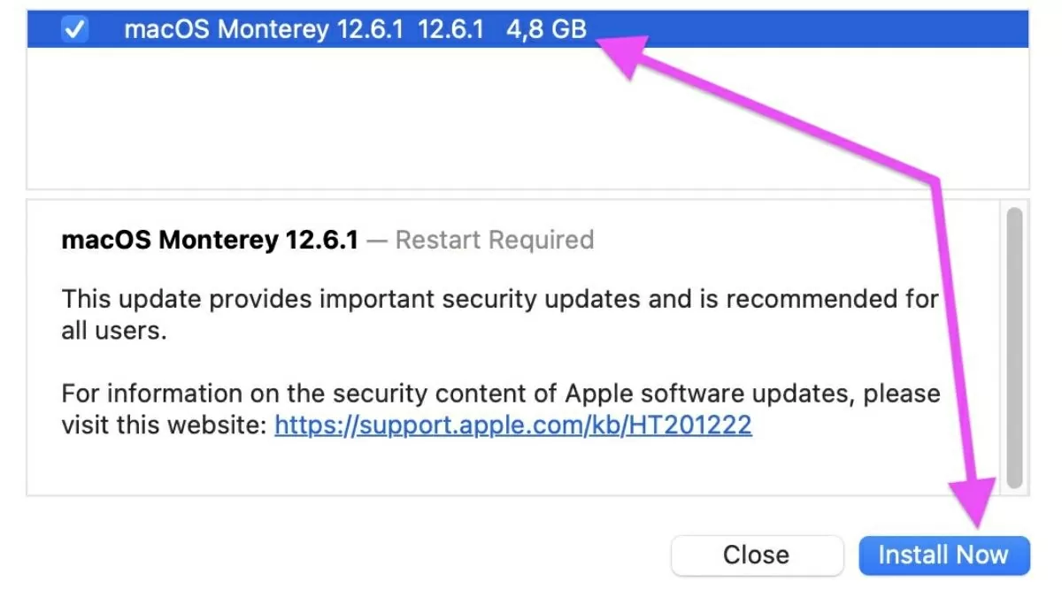 Sau đó nhấn Install Now để tiến hành cập nhật.