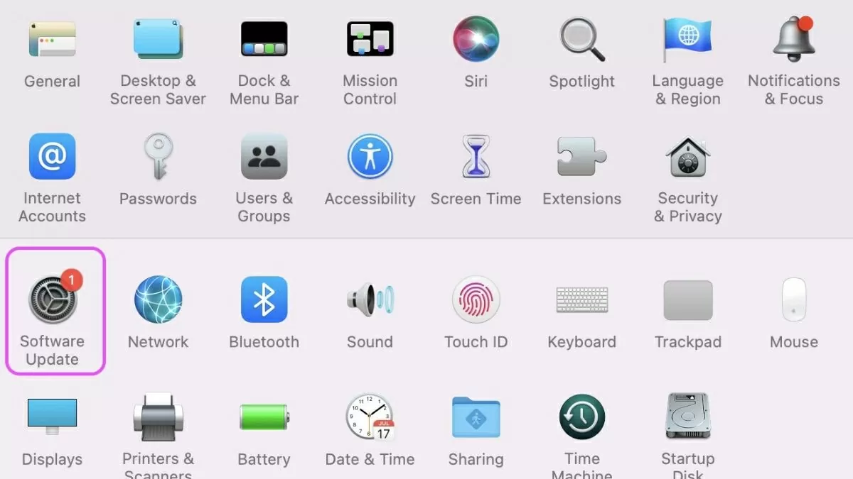 Truy cập vào mục Software Update.