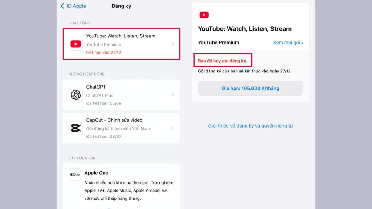 Tìm và chọn YouTube Premium. Tìm và chọn YouTube Premium.