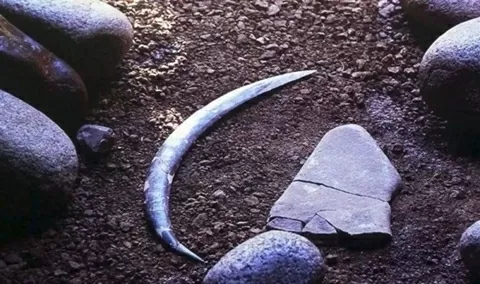 Ba Lan: Chiếc boomerang cổ nhất thế giới có niên đại lâu hơn với nhận định trước