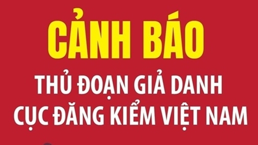 canh bao thu doan gia danh cuc dang kiem viet nam de lua dao chuyen tien