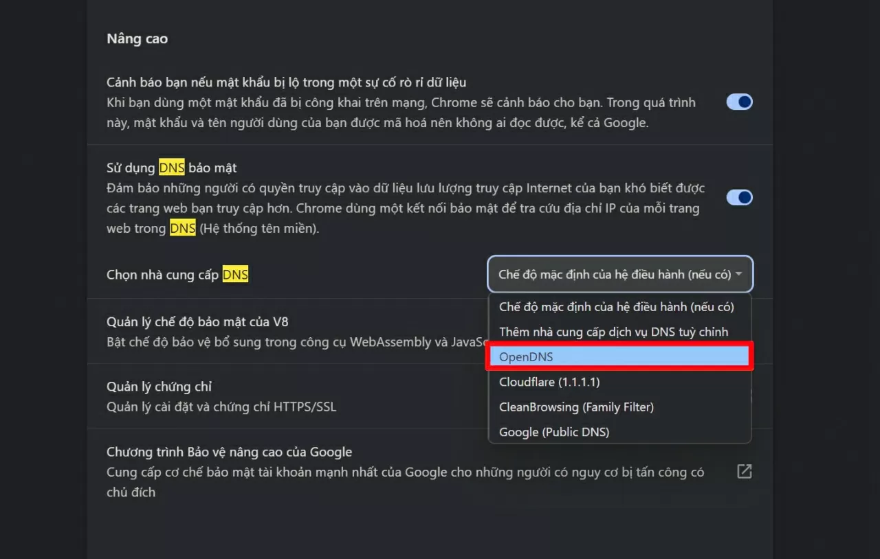 Chọn một trong những nhà cung cấp DNS. Chọn một trong những nhà cung cấp DNS.