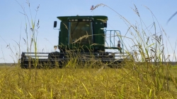 Ông Trump sẽ gửi thư cho Nhật Bản vì không mua gạo Mỹ; mới có hai quốc gia đạt thỏa thuận thương mại