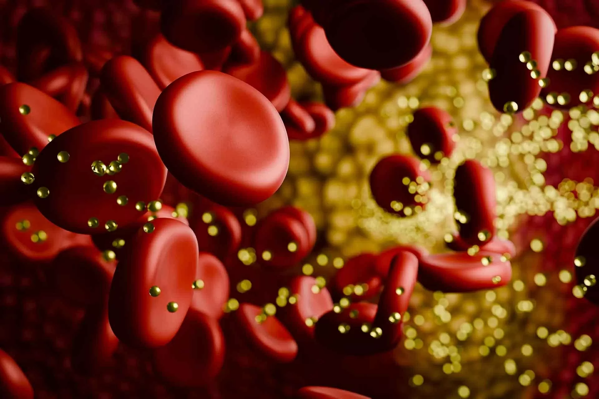‘Công tắc tắt’ cholesterol ‘Công tắc tắt’ cholesterol