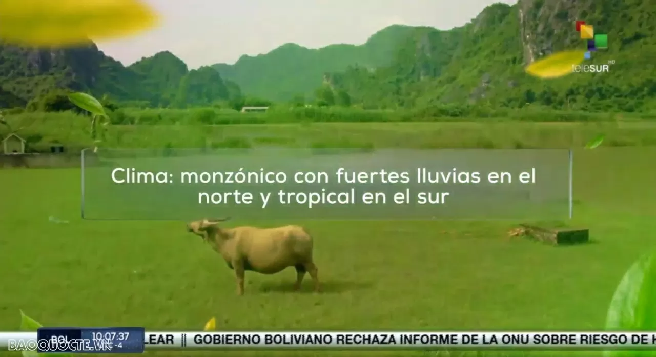 TELESUR mong muốn đồng hành cùng Việt Nam trong kỷ nguyên vươn mình TELESUR mong muốn đồng hành cùng Việt Nam trong kỷ nguyên vươn mình