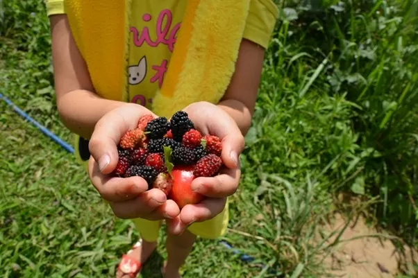 Khi người trẻ chọn lối đi 'không an phận'