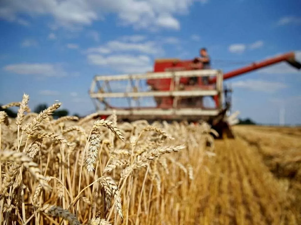 Sau khi cuộc xung đột tại Ukraine bùng phát vào năm 2022, EU đã mở cửa thị trường, tạm thời dỡ bỏ thuế và hạn ngạch đối với hàng hóa nông sản từ Ukraine. (Nguồn: Business Insider)
