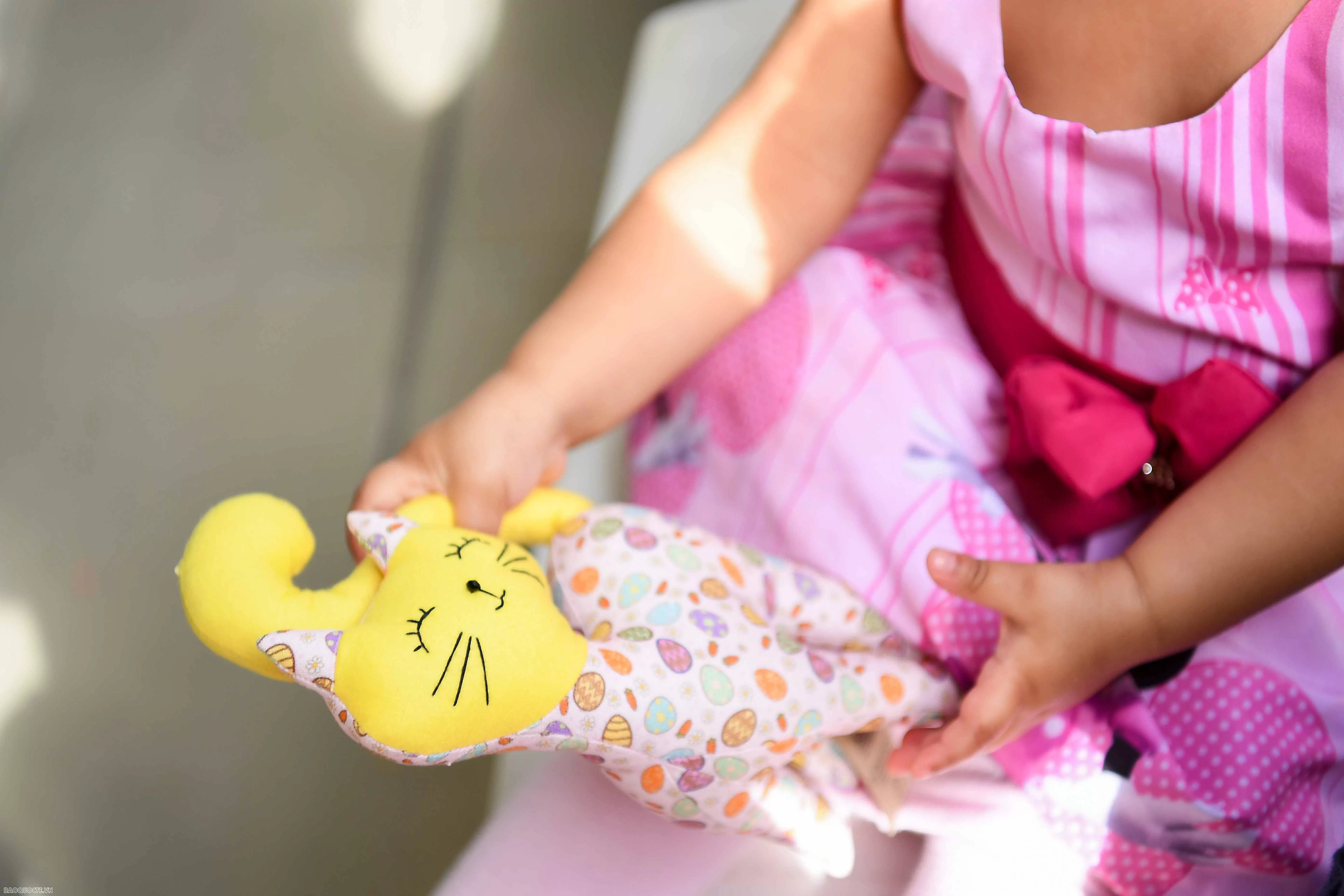 Phu nhân Thủ tướng thăm Trung tâm phúc lợi xã hội Dona Meca, Brazil