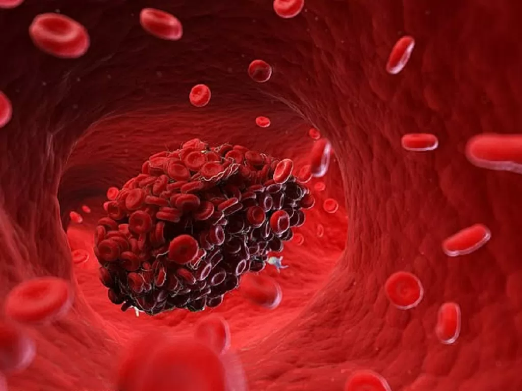 Đột phá nội tạng nhân tạo tự hình thành mạch máu Đột phá nội tạng nhân tạo tự hình thành mạch máu