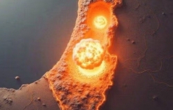 Quan chức cấp cao Iran đăng hình ảnh gây tranh cãi về kịch bản tấn công hạt nhân, căng thẳng có nguy cơ bị thổi bùng