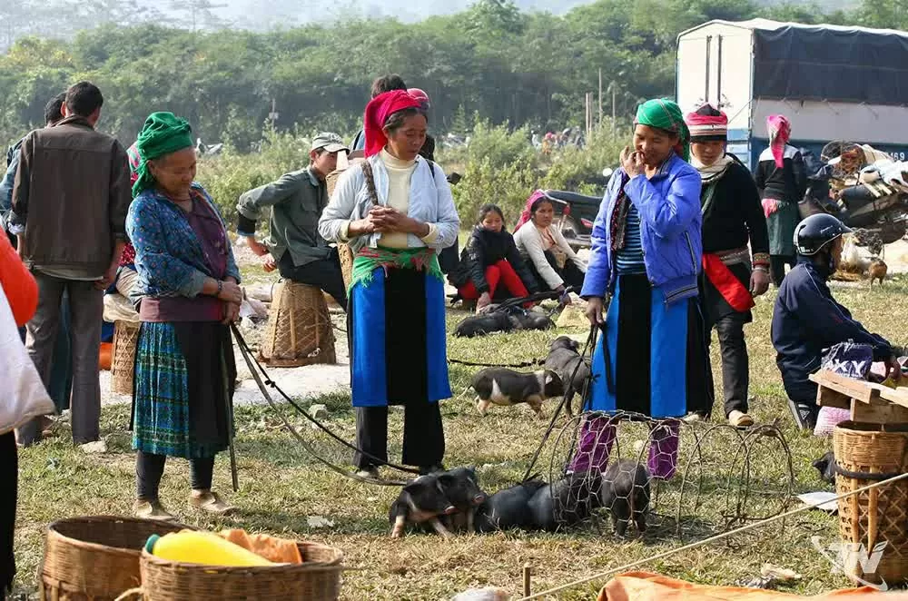 Chợ phiên - bản hòa ca của vùng cao Thái Nguyên Chợ phiên - bản hòa ca của vùng cao Thái Nguyên
