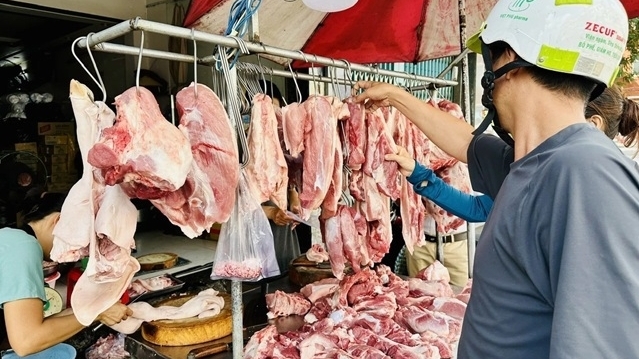 gia heo hoi hom nay 228 mien bac giam tren dien rong mien nam duy tri cao nhat ca nuoc