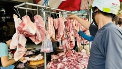 Giá heo hơi hôm nay 24/12: Miền Nam tăng mạnh nhất cả nước, từ 1.000 - 2000 đồng/kg