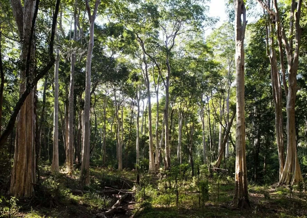 Khám phá Vườn quốc gia Hin Nam No: Di sản liên biên giới đầu tiên của Lào