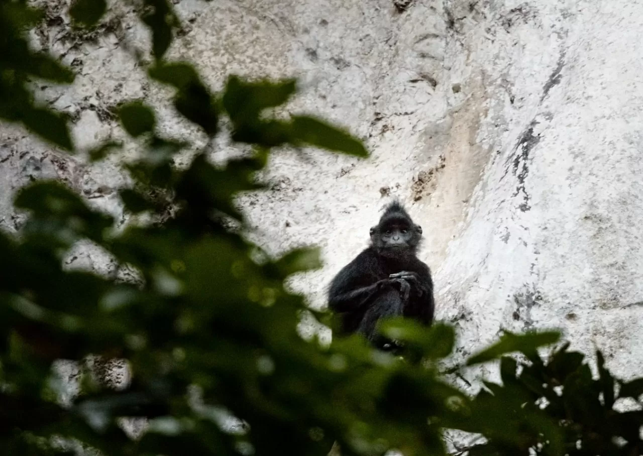 Khám phá Vườn quốc gia Hin Nam No: Di sản liên biên giới đầu tiên của Lào