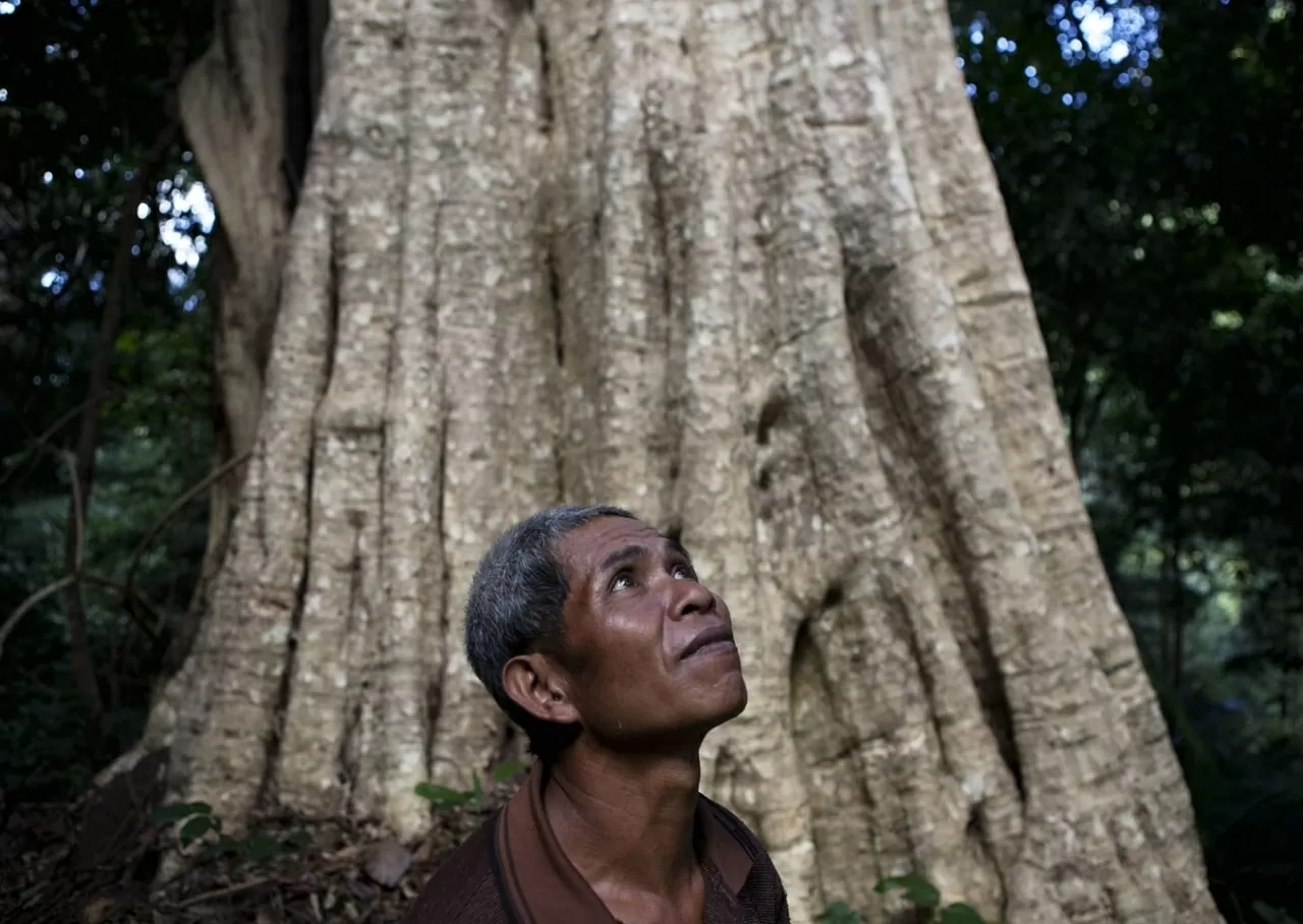 Khám phá Vườn quốc gia Hin Nam No: Di sản liên biên giới đầu tiên của Lào
