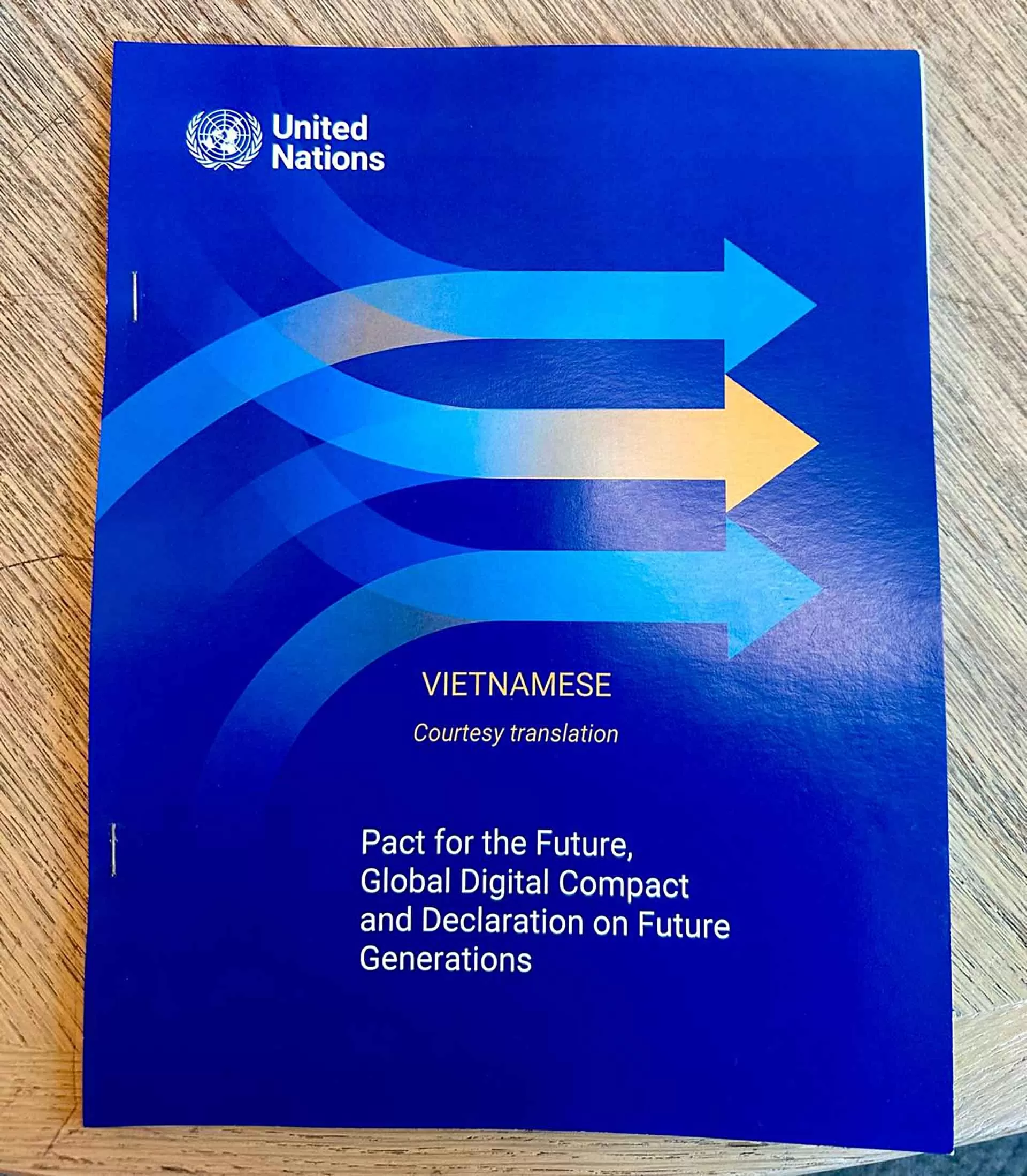 Lưu hành bản dịch tiếng Việt của ‘Văn kiện vì Tương lai’ và góp phần thúc đẩy đa ngôn ngữ tại Liên hợp quốc Lưu hành bản dịch tiếng Việt của ‘Văn kiện vì Tương lai’ và góp phần thúc đẩy đa ngôn ngữ tại Liên hợp quốc