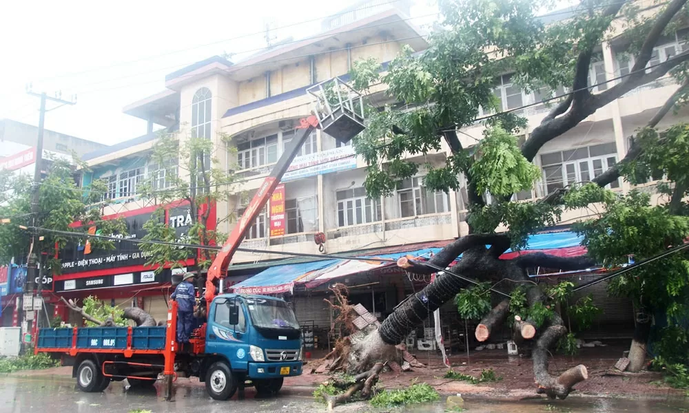 Cây đô thị trên địa bàn phường Bắc Giang bị đổ gãy do ảnh hưởng của mưa bão. (Nguồn: Báo Bắc Ninh)