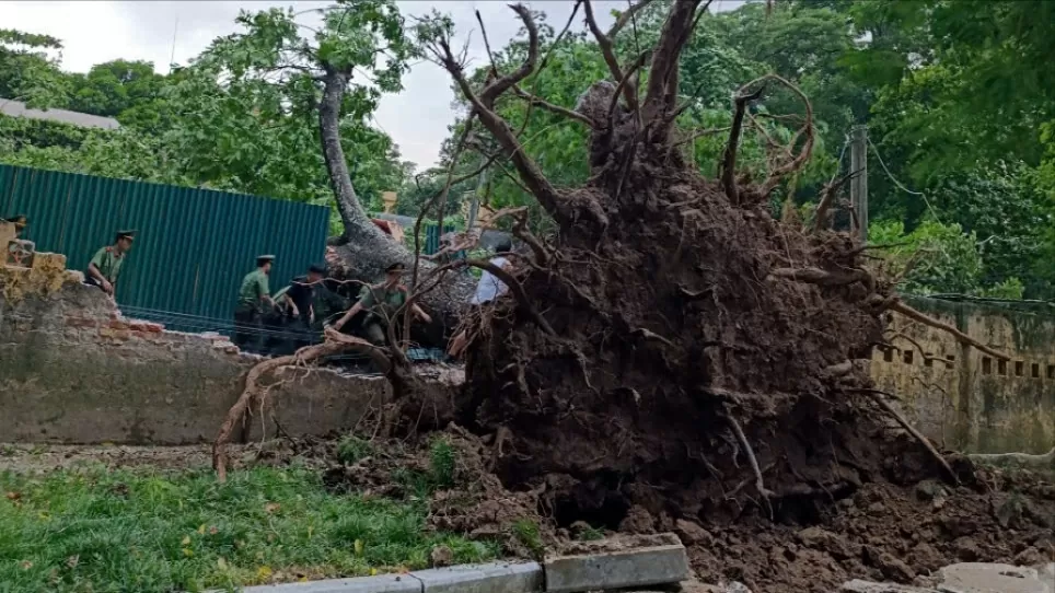 Kịch bản Elon Musk rời Mỹ sang Trung Quốc liệu có thành hiện thực?