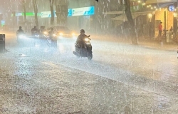 Bộ Xây dựng ra công điện khẩn, yêu cầu tập trung các biện pháp ứng phó bão Wipha