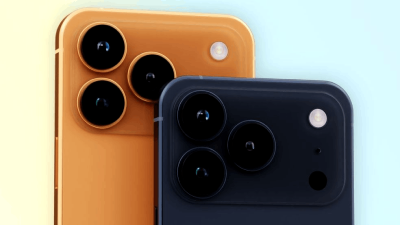 Sản phẩm với nhiều màu sắc ấn tượng.