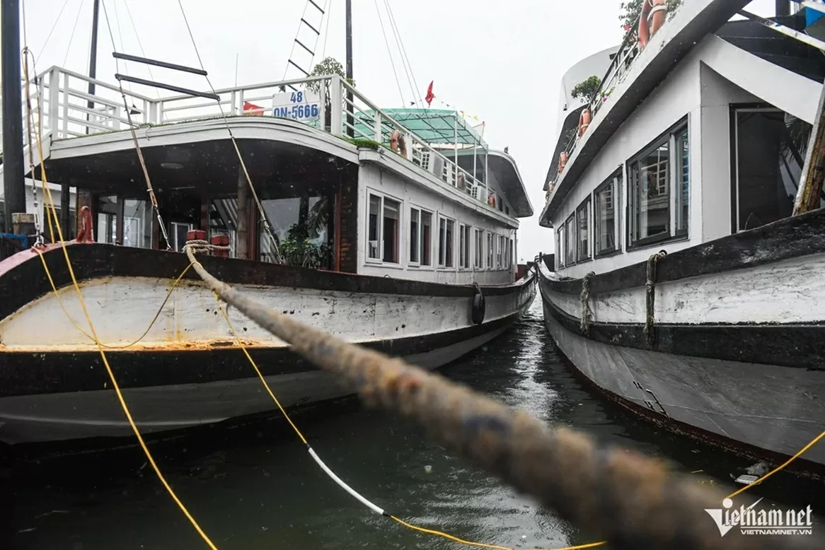 Tàu du lịch Quảng Ninh neo đậu tránh bão Wipha