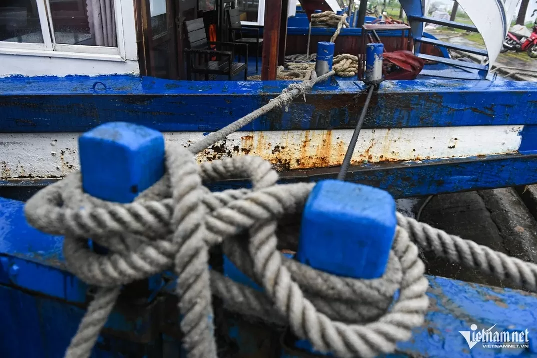 Tàu du lịch Quảng Ninh neo đậu tránh bão Wipha