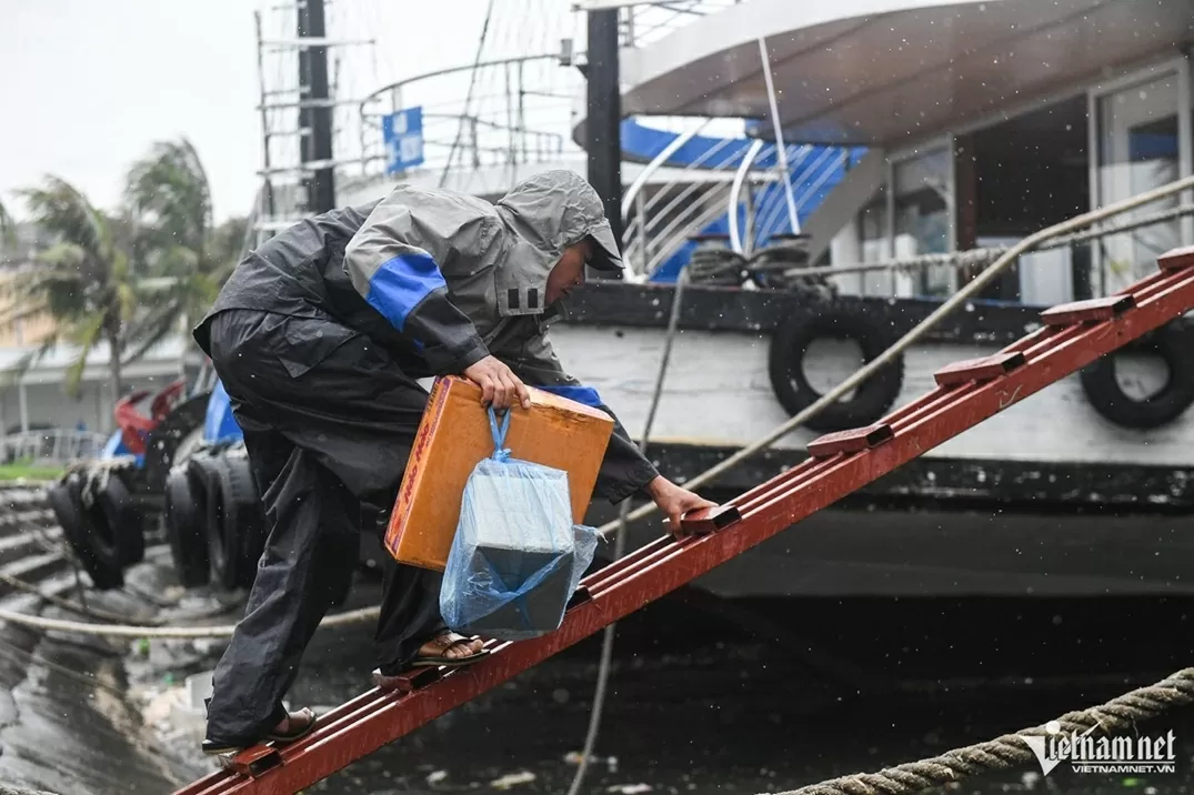 Tàu du lịch Quảng Ninh neo đậu tránh bão Wipha Tàu du lịch Quảng Ninh neo đậu tránh bão Wipha