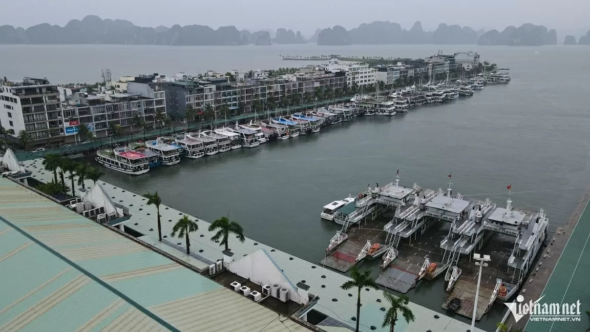 Tàu du lịch Quảng Ninh neo đậu tránh bão Wipha