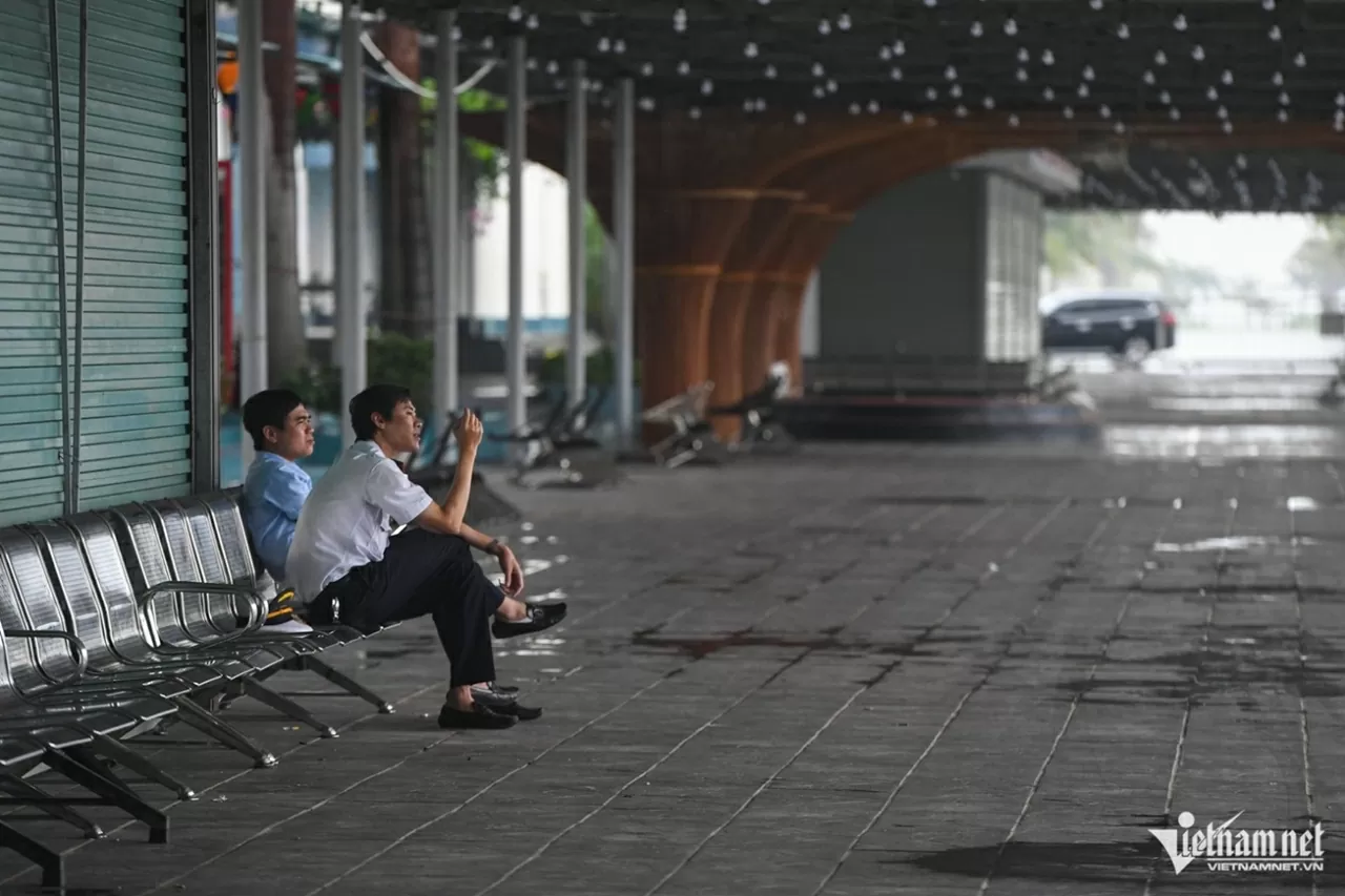 Tàu du lịch Quảng Ninh neo đậu tránh bão Wipha