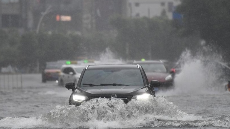 Sau bão Wipha, người dân Trung Quốc thi nhau nhặt hải sản, chuyên gia khuyên không nên ăn