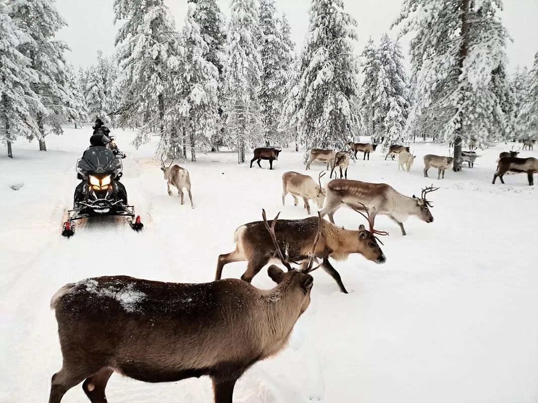 Khám phá thế giới: 10 phương tiện công cộng độc đáo nhất thế giới