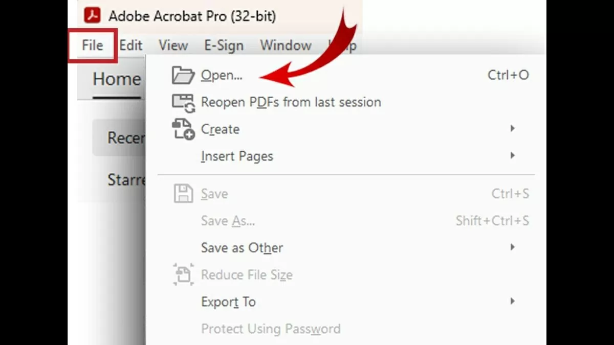 Mở Adobe Acrobat Pro.