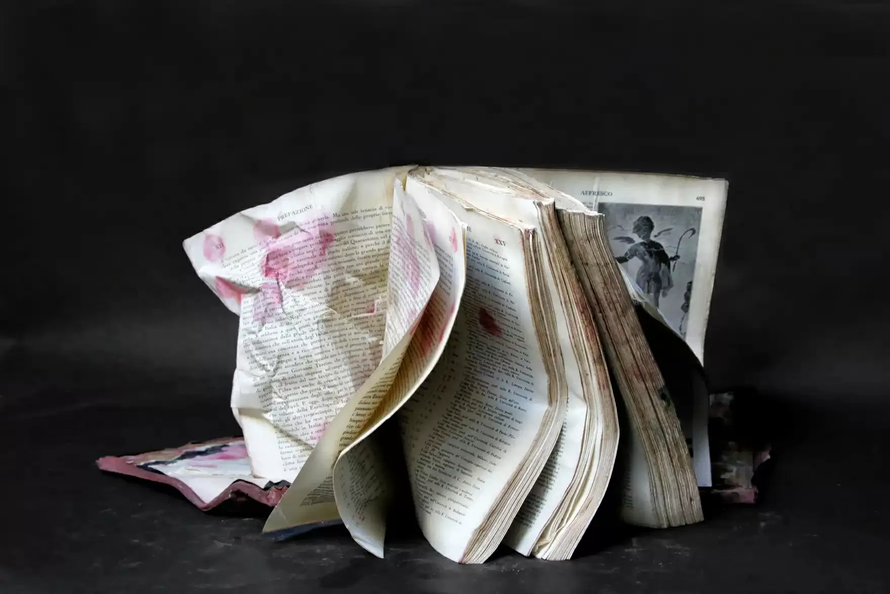 Giải thưởng nhiếp ảnh Prix Pictet 2025: Những ‘cơn bão’ của thời đại