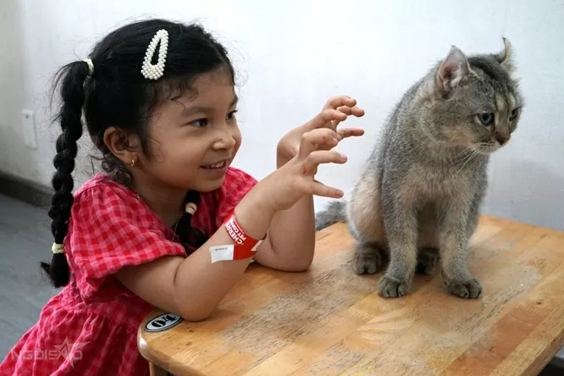 Quán cà phê hút khách nhờ dịch vụ chơi với thú cưng, chuột nang nước, gấu mèo Bắc Mỹ