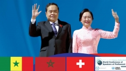 Nối vòng tay nghị viện