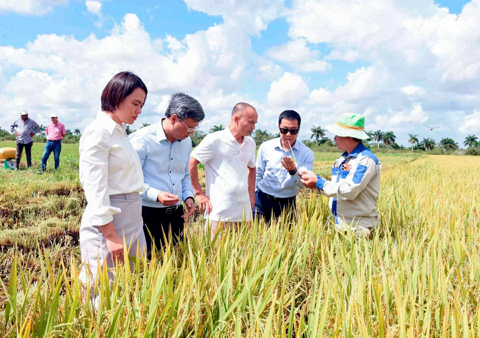 Khát vọng của một người bạn Cuba