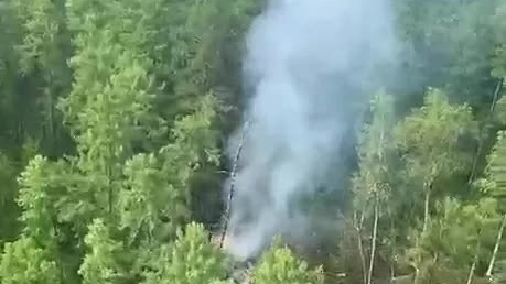 viet nam dien tham hoi vu tai nan may bay tai nga